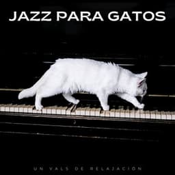 Jazz Para Gatos: Un Vals De Relajación - Clásicos del Jazz