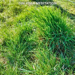 Zen Yoga Meditation Spirituality No. 2 - Meditation
