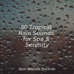 50 Tropical Rain Sounds for Spa & Serenity - Sea Waves Sounds
