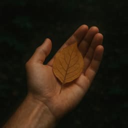 100 Paths To Wellness: A Soft Hold - Spa Music Relaxation