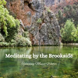Meditating by the Brookside: Relaxing Music Water - River Dreams Catalog