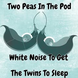 Two Peas In The Pod White Noise To Get The Twins To Sleep - Various Artists