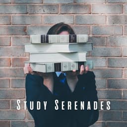 Study Serenades: Ambient Music for Productive Learning - Calming Beats