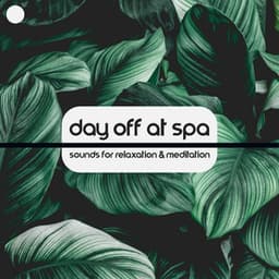 Day Off at Spa: Sounds for Relaxation & Meditation, Best Time for Rest - Sweet Music Relaxation