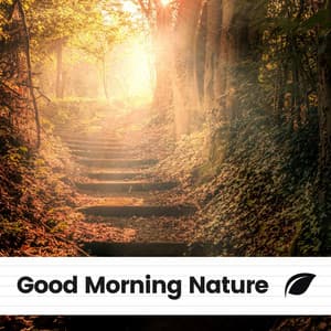 Good Morning Nature - Soothing Nature Sounds