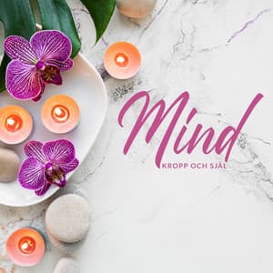 Mind, kropp och själ - Simon's Sleep Lullabies