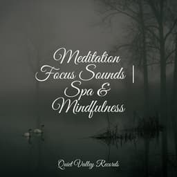 Meditation Focus Sounds | Spa & Mindfulness - Pure Serenity Spa Music & Massage Collective Garden & Zen Relaxation Meditation