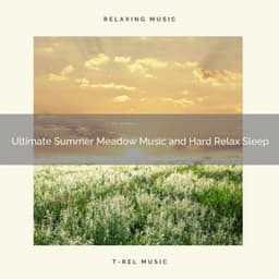 2020 Best: Ultimate Summer Meadow Music and Hard Relax Sleep - Night Sounds