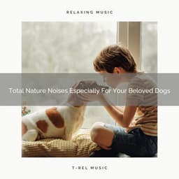 Total Nature Noises Especially For Your Beloved Dogs - Dog Relax