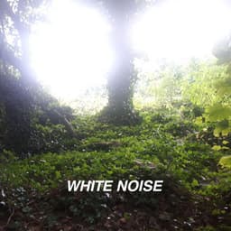 White Noise and Rain Collection - White Noise Collectors