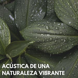 Acústica De Una Naturaleza Vibrante - Naturaleza suena colaboración