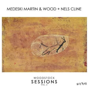 Woodstock Sessions Vol. 2 - Medeski, Martin & Wood
