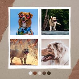 Vibrant Background Music for Doggy Bedtime - Songs for Dogs to Sleep To