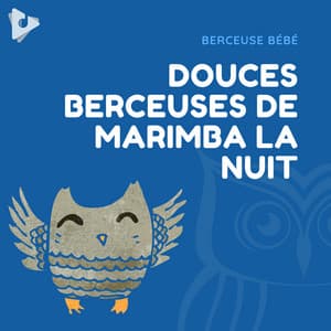Douces Berceuses de Marimba la Nuit - Berceuse bébé