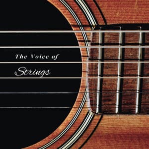 The Voice of Strings - Calm Guitar Music