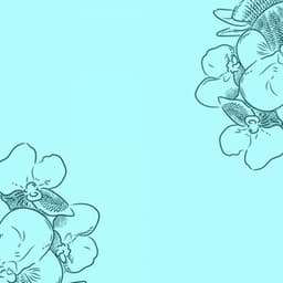 Music for Lounging Luxury - Cafe Smooth Jazz Radio