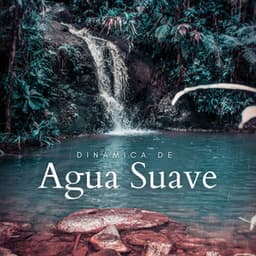 Dinámica De Agua Suave - Sonidos De Agua