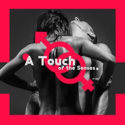 A Touch of the Senses - Sensual Jazz Music - Sensual Chill Collection