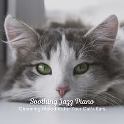 Soothing Jazz Piano: Charming Melodies for Your Cat's Ears - Best Jazz Lounge Bar