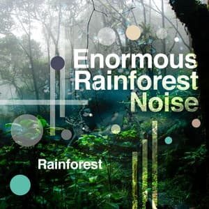 Enormous Rainforest Noise - Rainforest