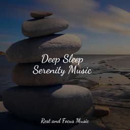 Deep Sleep Serenity Music - Deep Focus