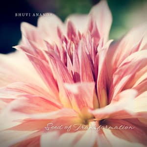 Seed of Transformation - Bhuvi Ananda