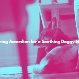 Soothing Accordion for a Soothing Doggy Nuzzle - Música de Trabajo Ambiente