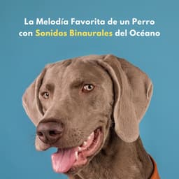La Melodía Favorita De Un Perro Con Sonidos Binaurales Del Océano - Sistema de ritmos binaurales
