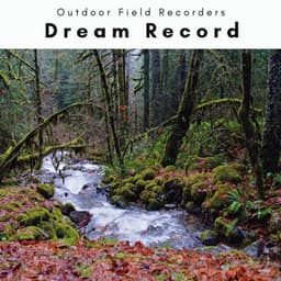 A Dream Record - Outdoor Field Recorders