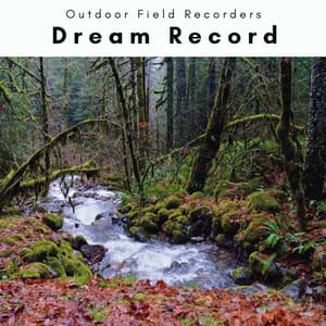 A Dream Record - Outdoor Field Recorders