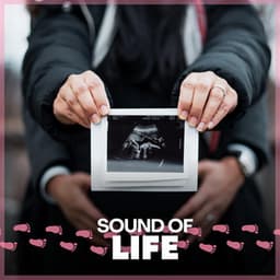 Sound of Life - Womb Sound