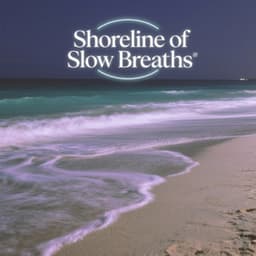 Shoreline of Slow Breaths - Rising Higher Meditation