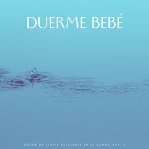 Duerme Bebé: Noche De Lluvia Relajante En El Campo Vol. 2 - Lluvia - Lluvia de primavera