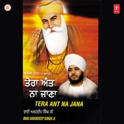 Tera Ant Na Jana Vol-13 - Bhai Amandeep Singh Ji