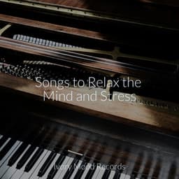 Songs to Relax the Mind and Stress - Ivory Mood