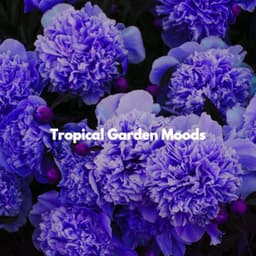 Tropical Garden Moods - Música para Concentrarse Universo