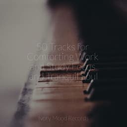 50 Tracks for Comforting Work and Study Focus and Tranquil Soul - Ivory Mood