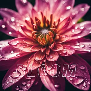 Bloom - AtomFlow