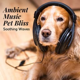 Ambient Music Pet Bliss: Soothing Waves - Pet Ambience