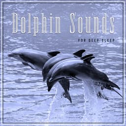 Dolphin Sounds for Deep Night Drift - Tina Amalier