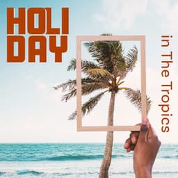 Holiday in The Tropics: Chillout Music for Beachside Cafe, Party Music for Best Holiday Summer Time, Holiday Session - Beach Party Chillout Music Ensemble