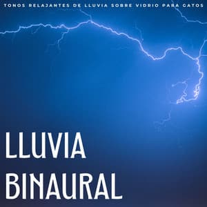 Lluvia Binaural: Tonos Relajantes De Lluvia Sobre Vidrio Para Gatos - Escuela de Lluvia