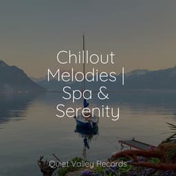 Chillout Melodies | Spa & Serenity - Nature Recordings