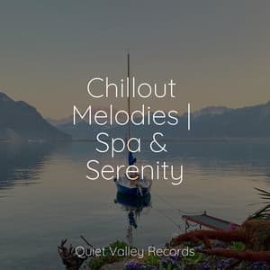 Chillout Melodies | Spa & Serenity - Nature Recordings