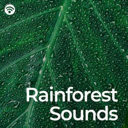 Rainforest Sounds - Relaxing Rainforest Sounds