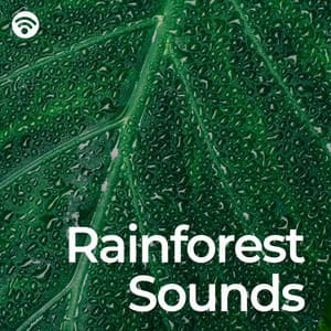 Rainforest Sounds - Relaxing Rainforest Sounds