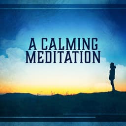 A Calming Meditation - Yoga Training Music Sounds