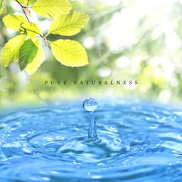 Pure Naturalness - Relaxing Spa Music, Calming Water Sounds, Relaxation Music, Meditation, Healing Instrumental Music - Well-Being Center
