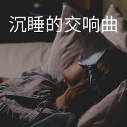 Sleeping Symphony - 睡眠時間