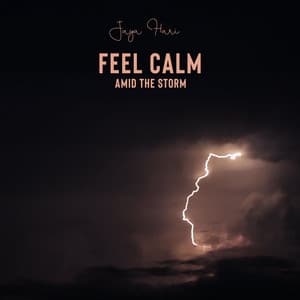 Feel Calm Amid the Storm: Attract an Abundance of Peace and Security Into Your Life, Meditate for Mental Silence - Jaya Hari